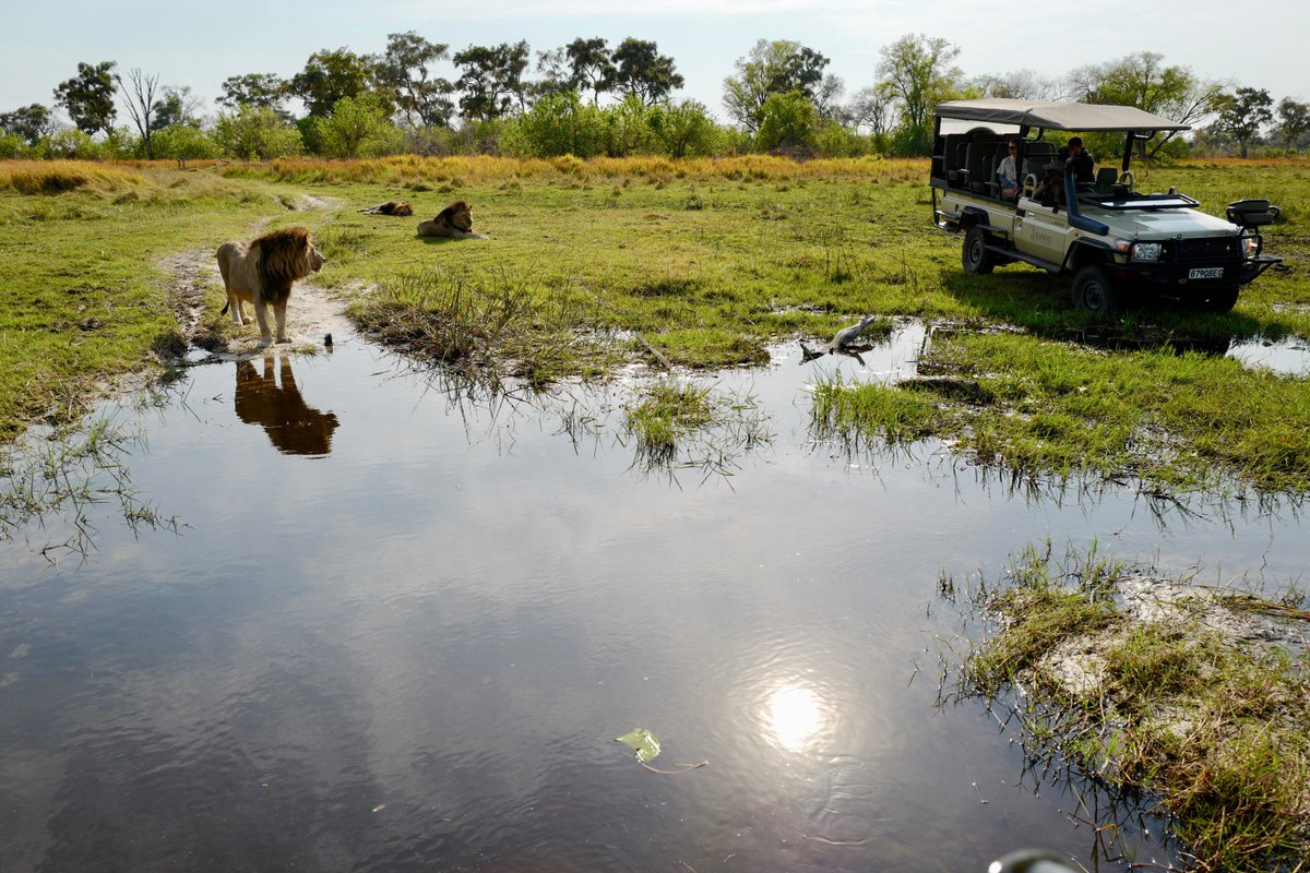 NatSelection1's tweet photo. It's #traveltuesday and we're looking back at these shots Bernie Gan sent us from her time in our camps.

#safarisofcharacter https://t.co/Wo54JU2TAY