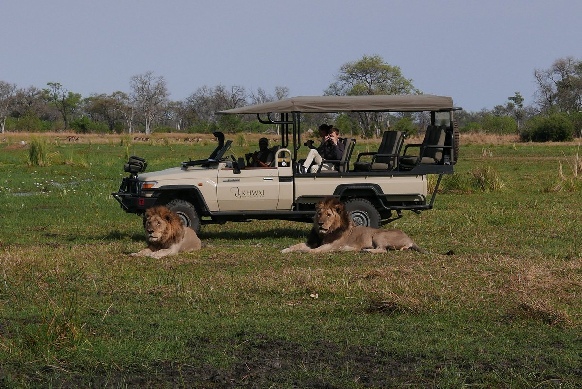 It's #traveltuesday and we're looking back at these shots Bernie Gan sent us from her time in our camps.

#safarisofcharacter