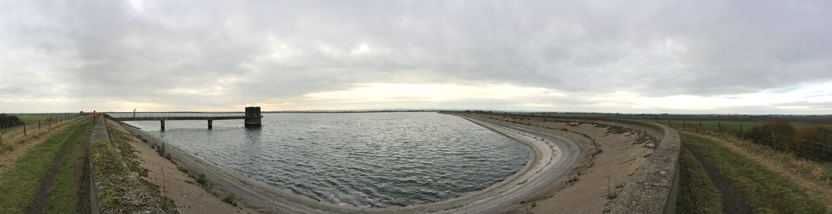 raptorwatcher's tweet photo. Hour at #CovenhamReservoir at lunchtime.Saw #RedneckedPhalarope #SlavonianGrebe #SnowBuntings #Goldeneye #GCGrebe #LittleGrebe #Redshank #Linnets & c800 Coots #lincsbirding @Lincsbirding https://t.co/P0RBXa3mVn