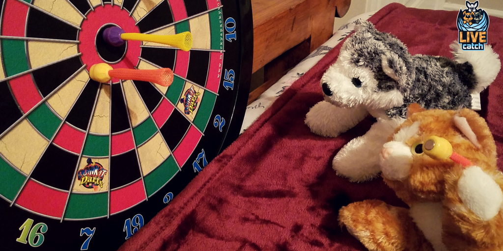 LIVEcatchGAME's tweet photo. "Ok, let's do the best from two out of three then."
#LIVEcatch #AugmentedReality #Pets #Games for #Kids, coming this Spring! https://t.co/uYhvkymi3Z #Cats #Dogs #Bunnies https://t.co/61Kfs3mLPi