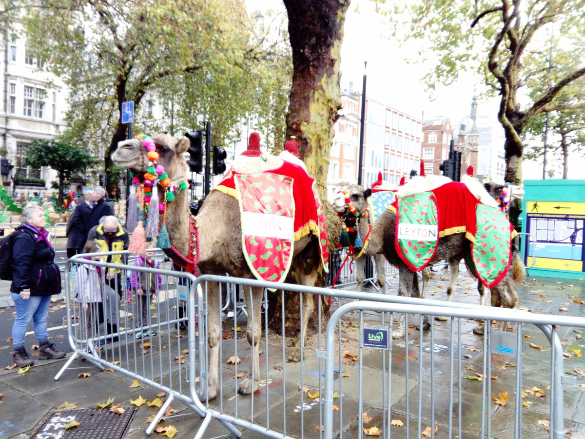 JACamels's tweet photo. Great day at the Lord Mayor's Show with the Worshipful Company of Grocers https://t.co/YkPfSV4LUj