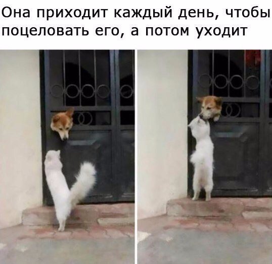 vtoroi_nosok's tweet image. 