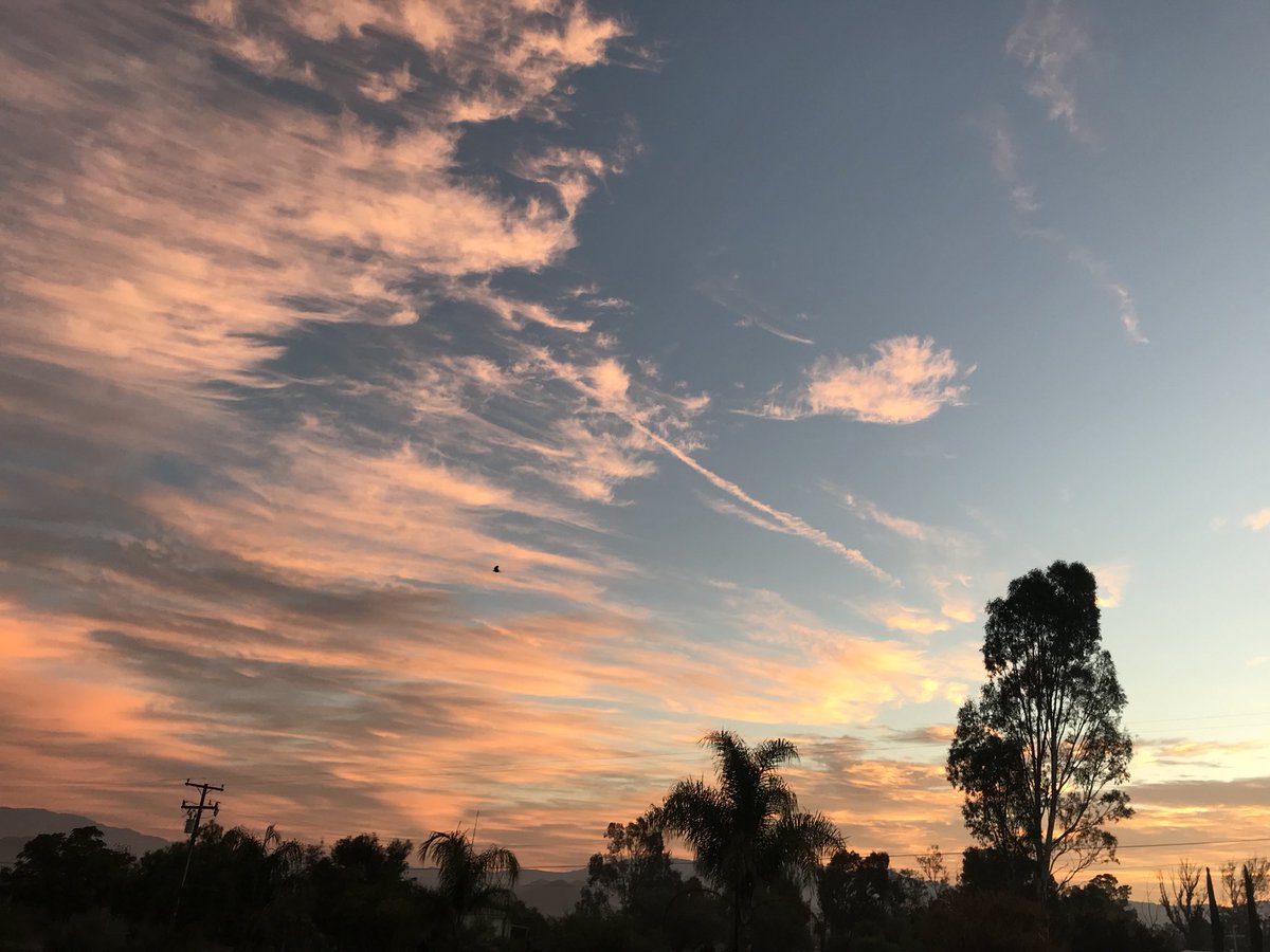 Josh Mosiman tweet media