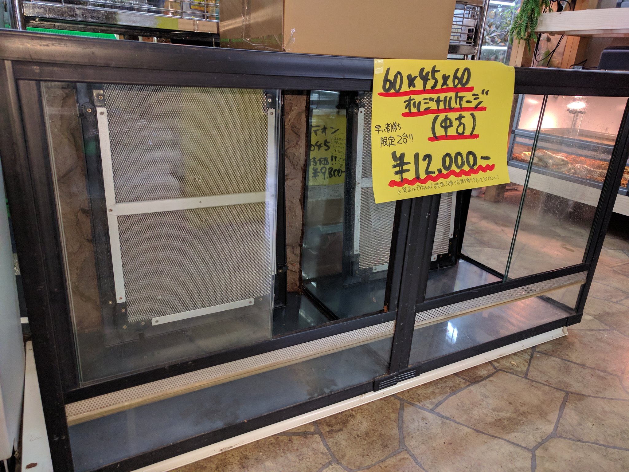 爬虫類倶楽部中野本店 本アカウント on X: 