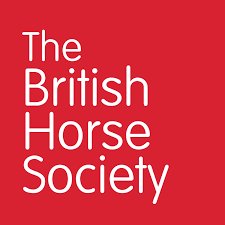 JoHayward_RDA's tweet photo. Great day yesterday at the @BritishHorse Proprietors Conference. Enjoyed the chance to talk to the centres about @RDAnational Accessibility Mark how it could help their development https://t.co/CBZT4AOCNf