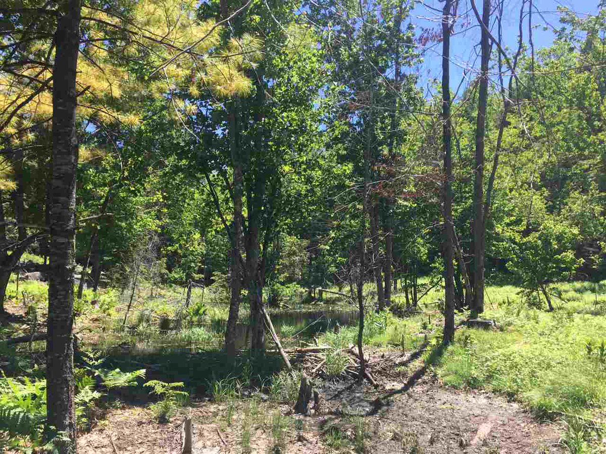 DowRealtyGroup's tweet photo. Vacant land for sale in Kits Crossing, Meredith  https://t.co/4QTI6EznjU #vacantlandforsale #lakewinnipesaukeeRealEstate #lakesregion #NHlistings #NHrealestate #dowrealtygroup #kwri #adamdow.com https://t.co/vkqAYQtVQq