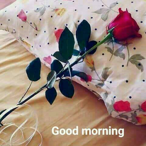 nikitasarma084's tweet photo. #HappyChildrensDay https://t.co/jzqA1jxs9M