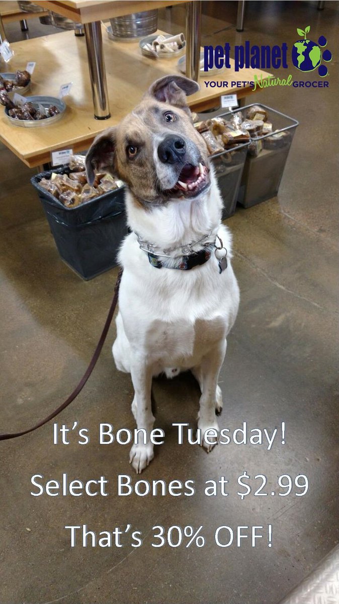 petplanetMPA's tweet photo. 30% Off Select Smoked Bones today! #shoplocal #ahwatukee #ahwatukee411 #dogsofig #doglover #doglovers https://t.co/xNm7qKHyzj