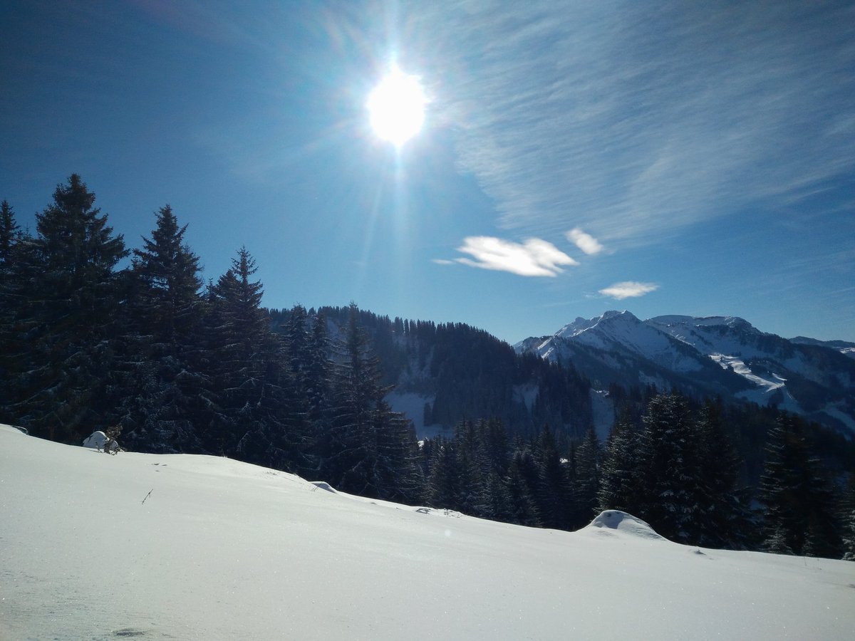 Absolute_Alps's tweet image. Blue skies and the sun shining. All the snow cannons are busy on the slopes. Still some New Year and January spaces available in our lovely chalet. #Chatel