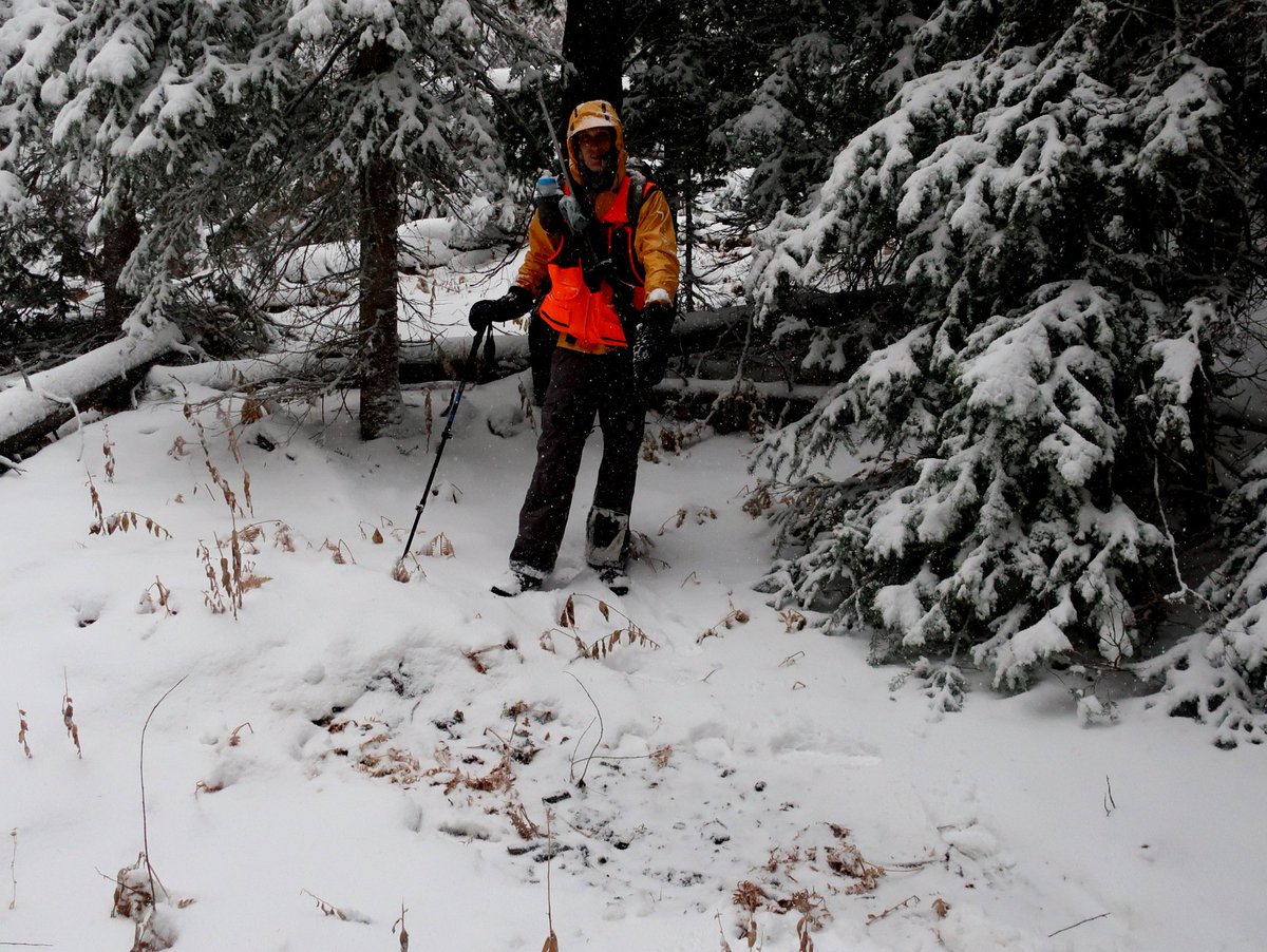 andrewskurka's tweet photo. Takeaways & lessons learned from our recent #backpackhunt for #elk in the #Flattops #Colorado, https://t.co/D9QmZGYn7H. Tips on hunting strategy, location, shooting, and dressing. https://t.co/lo2NttY9fN