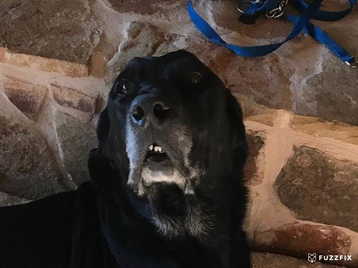 FuzzFix's tweet image. 