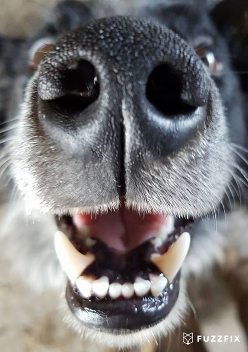 FuzzFix's tweet image. 