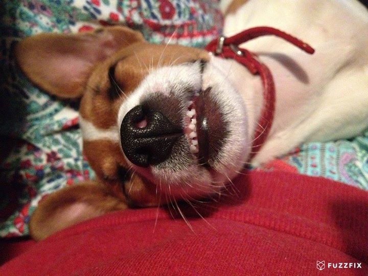 FuzzFix's tweet image. 