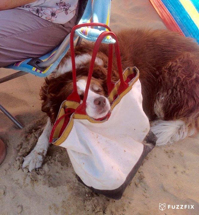 FuzzFix's tweet image. 