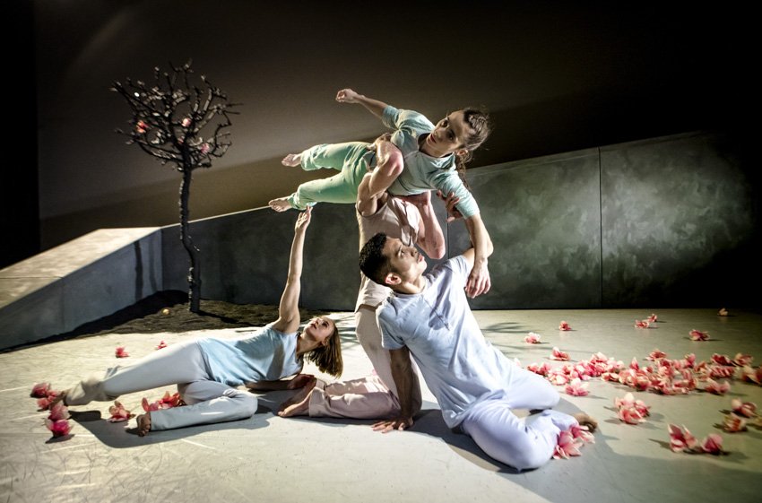 AandeSlinger's tweet photo. @tdMaas za 25 nov #dansvoorstelling Happily Ever After in @AandeSlinger! Voorafgaand (gratis) #dansworkshop! Meer info en kaarten: https://t.co/AWvhA2RUQa https://t.co/7o7TNp81kD
