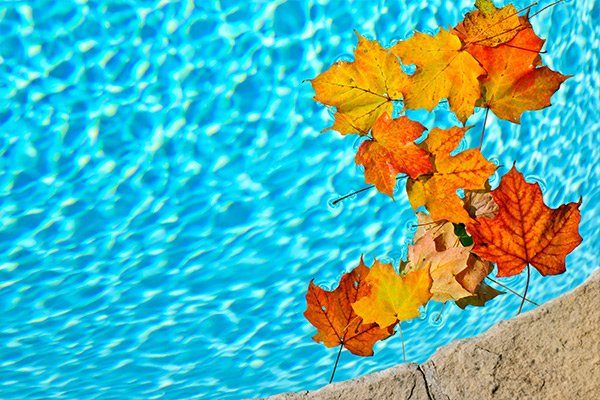 PoolCompanyTX's tweet image. NEW BLOG POST: Fall Swimming Pool Care
poolrelief.com/blog/fall-swim…

#fallpoolmaintenance
#fall
#poolcleaning
#poolmaintenance
#austinpoolcompany