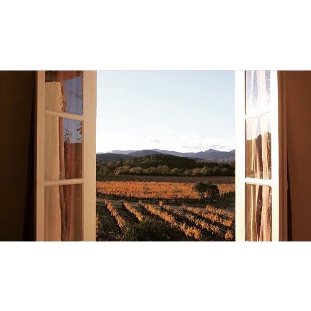 RIMAURESQ's tweet photo. Le domaine aux couleurs de l'automne 🍁🍂🔥

The estate and its automnal shades 🍁🍂🔥

#Rimauresq #fall #vineyard #wine https://t.co/dd1S5409dD