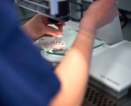 ManchesterIVF's tweet photo. Do you know what #ICSI is? Learn about this #fertilitytreatment &amp; why it may be advised for you: https://t.co/oB1GJTsyF0 #IVF #malefertility #spermproblems #maleinfertility https://t.co/HzUmv1kPk4