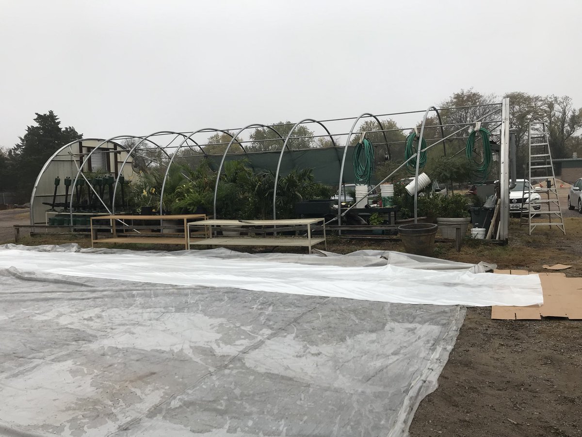 CRgreenside's tweet photo. Installing new plastic on the greenhouse. #keepthecoldout #WCC https://t.co/ImeAsqLpeZ
