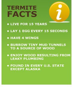 Top_Gun_Pest's tweet photo. Termite Facts #termitetuesday #factsoftheday #fact #topgunpestcontrol #pestcontrol https://t.co/QfgsYXj3RB