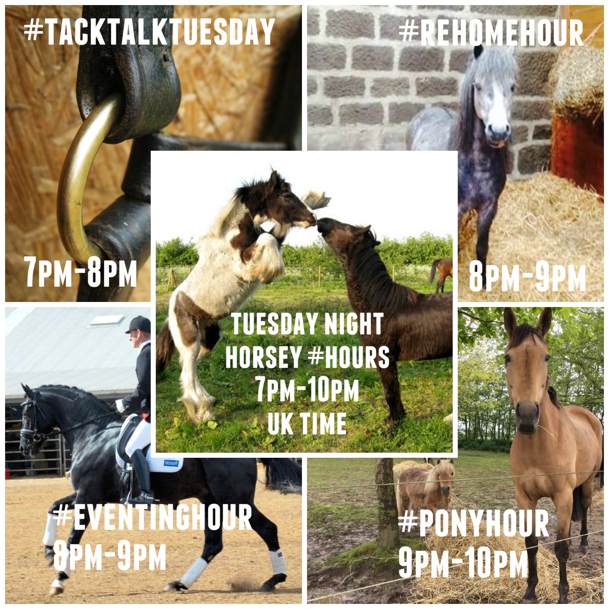 aponyhour's tweet photo. Tonight's line up 
starting with #tacktalkTuesday 7-8
then #eventinghour &amp; #rehomehour 8-9
and
last but not least #ponyhour 9-10 (that's us) https://t.co/D9yF42YEzl