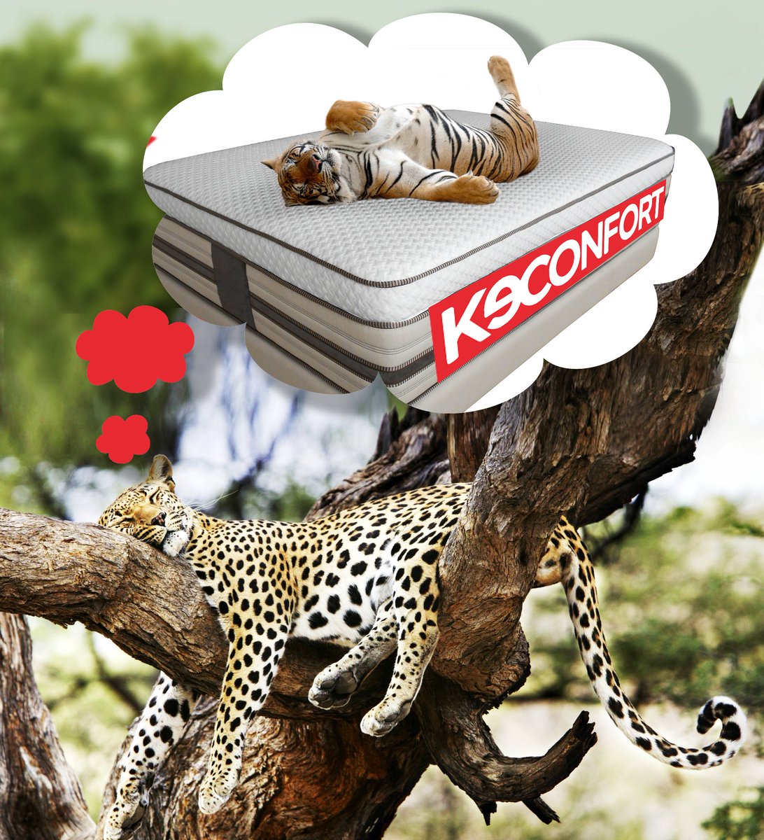 Keconfort's tweet photo. No sueñes con descansar y ven a nuestras tiendas. ¡Descansa salvajemente! #keconfort #descanso #salvaje https://t.co/dOUxn5mwxq