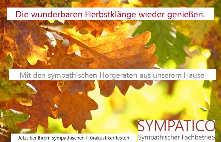 Es lohnt sich, die Klänge des Herbstes optimal zu hören...