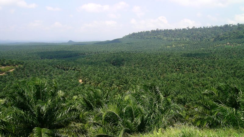 What are the consequences of #Brazil's #biofuels expansion until 2030 under #NDC implementation? Find out in CLIMA's new publication: clima.org.br/archives/616