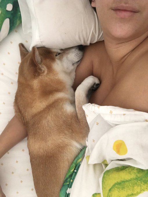 I am having a veryyyy hard time dragging myself out of bed today https://t.co/UhNbwlFKSA
