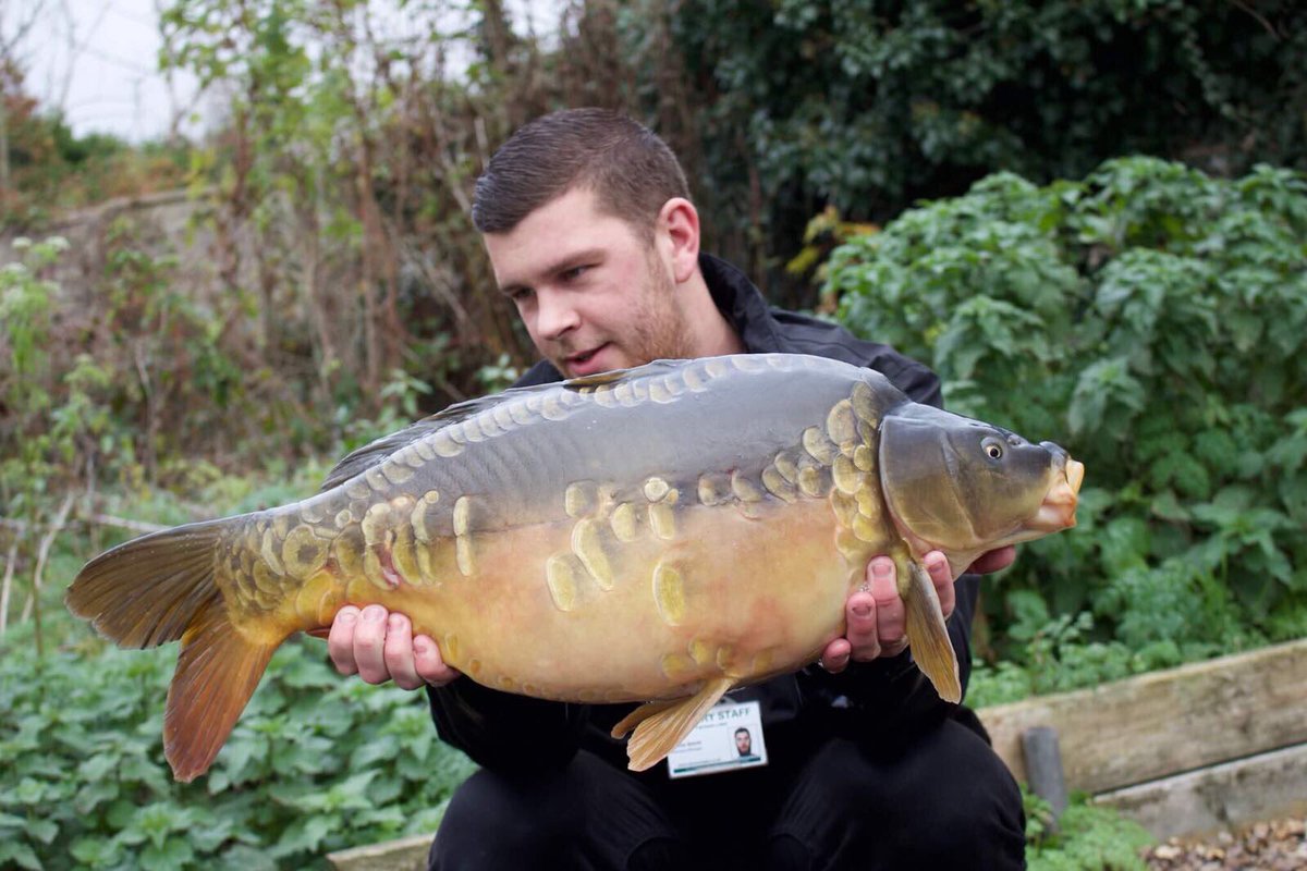 FarlowsLake's tweet photo. Who likes this one? https://t.co/1Au19FaAfX