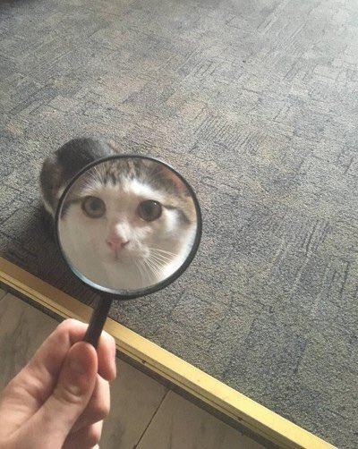 ClarissaYorke's tweet photo. to assim // aí do nada fico assim https://t.co/ctDzZfsgkw