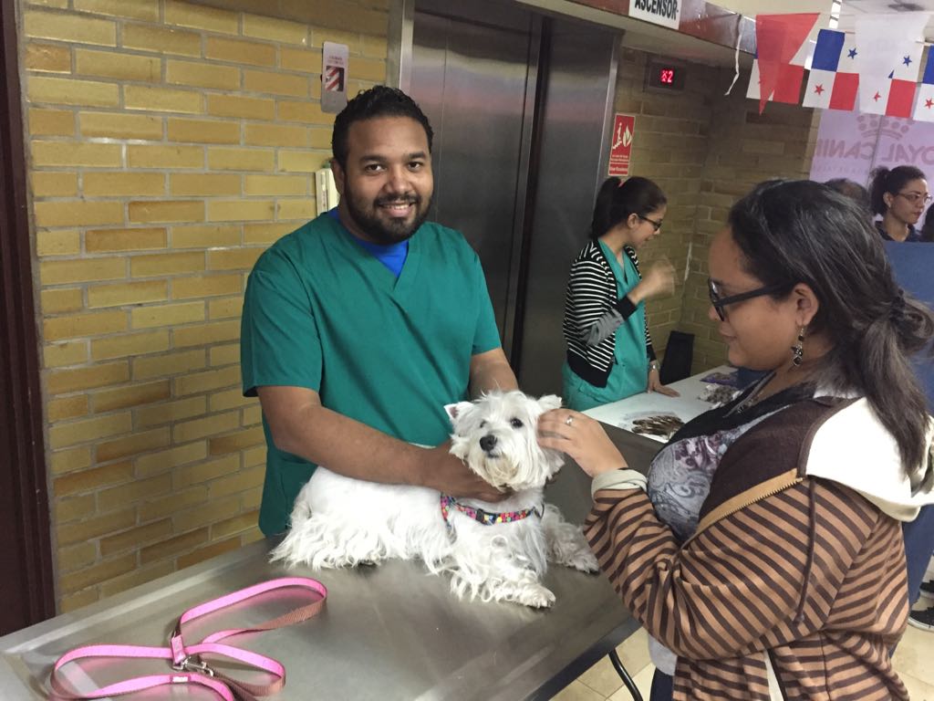 UNIVERSIDAD_PMA's tweet photo. Feria de Salud en Campus Harmodio Arias Madrid,celebrando el XXII Aniversario de la Fac. de Medicina Veterinaria. Participación de las Facultades de Enfermería, Odontologia, Farmacia y el Hospital Veterinario. https://t.co/Xu4m7LXjrH