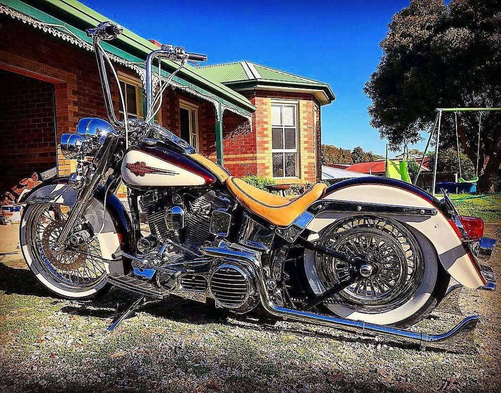 softailgram's tweet photo. Follow 🔥 @softailgram 🔥 for the best HD Softail photos on Instagram ••••••••••••••••••••••••••••••••••••••••••••••… https://t.co/SzYWvUAcRj https://t.co/NYaXGARkTX