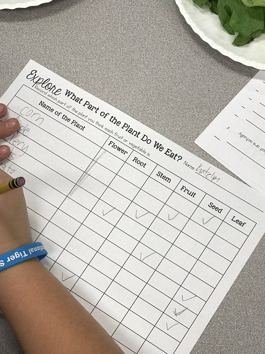 MsAbbyJewell's tweet photo. Do you know what part of a plant you eat? #exploringplants #3rdgradescience https://t.co/fhO3odFUKi