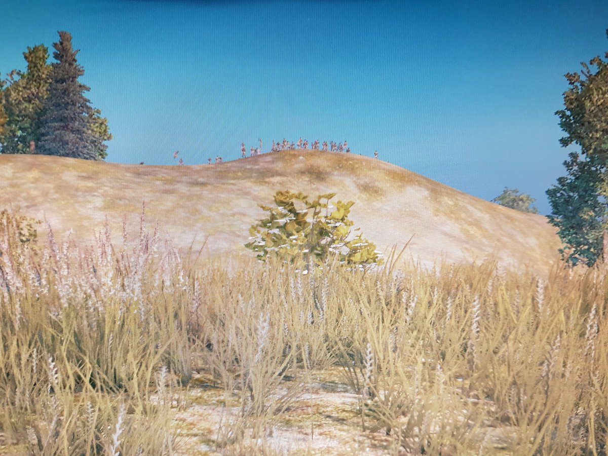Acaniac_Twitch's tweet photo. Die Zombies zeigen sich zum Duell!!!
@Gronkh @Herr_Currywurst @TobinatorLP @xPandorya
#HWSQ #DGSQ #communitypubg #pubg https://t.co/A9eyDYILjM