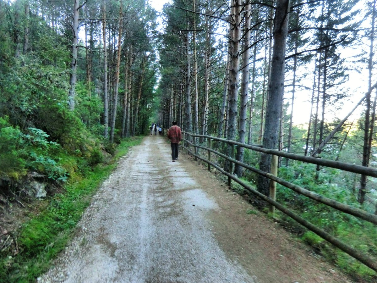 ¿Recorrer caminando la Vía Verde de la Demanda🚶🌳🏔? Aquí te dejamos el 19° motivo para visitar la Vía Verde de la Sierra de la Demanda (#top20viaverdedelademanda). / #Burgos #SierradelaDemanda