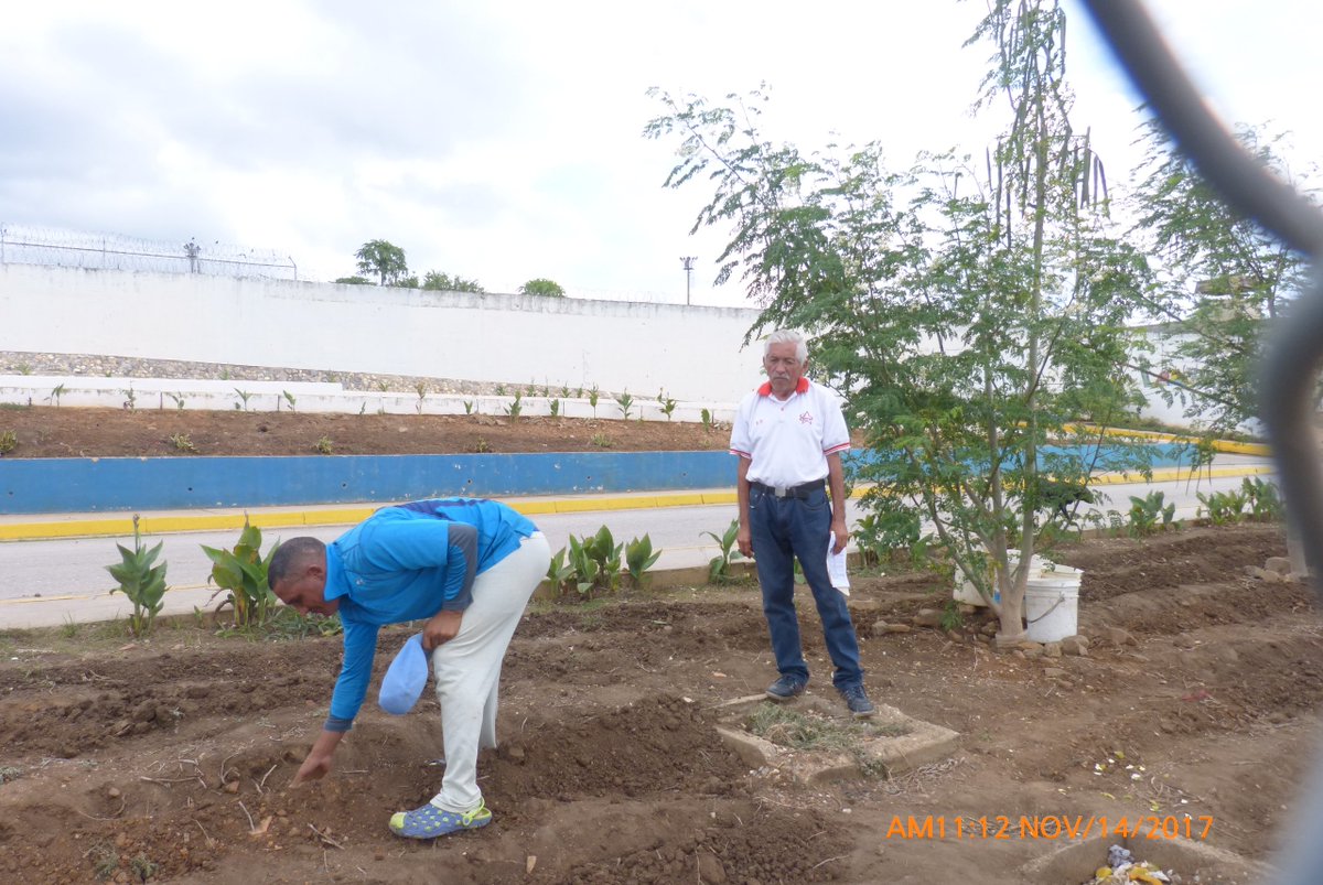 CPRCO  SGTO/1 DAVID VILORIA
MISIÓN SIEMBRA ÁREA INTERNA DEL CPRCO