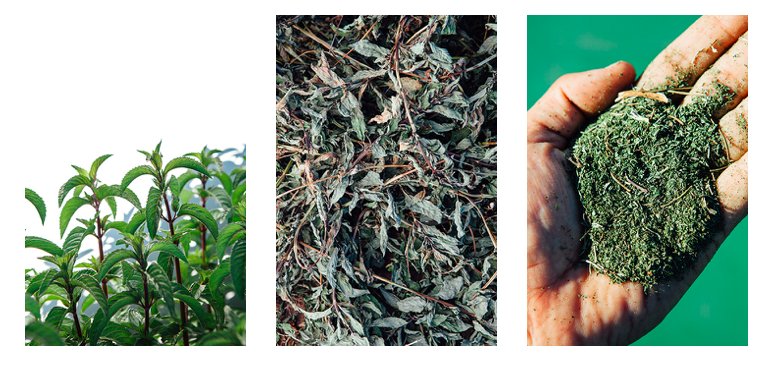 Writer Brittany Wienke doesn’t just explore Central Oregon’s Essex Farms’ mint production. She explores the politics of water. edibleportland.com/finding-common…