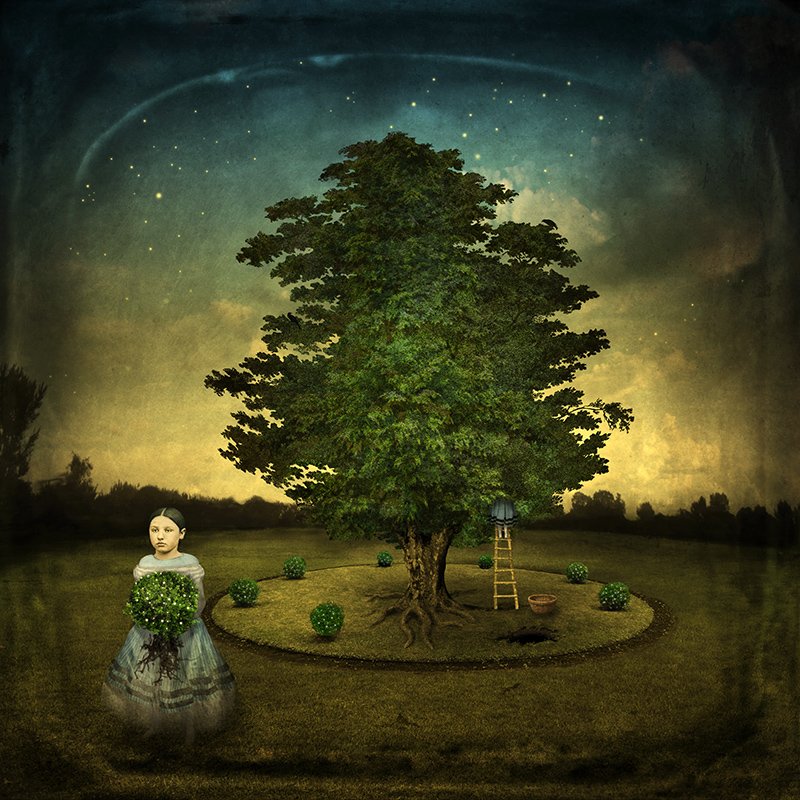 Littlejohn_Arts's tweet photo. Maggie Taylor's Stranger Things - "The Garden Game" #archivalprint #maggietaylor See more of her magic: https://t.co/0sDWvvWHjx https://t.co/8h9FtAEDUG