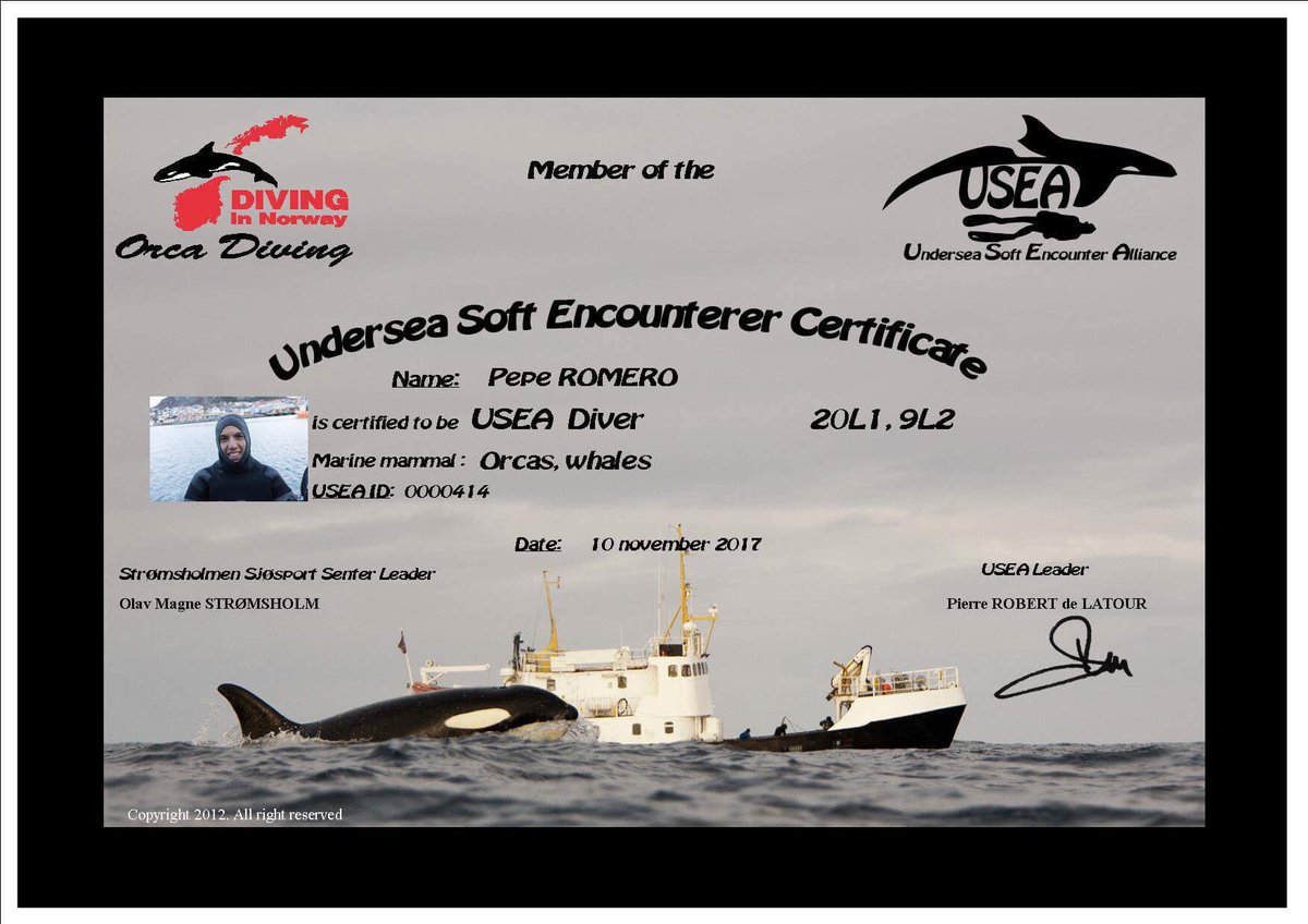 peperomero's tweet photo. En este viaje tuvimos la oportunidad de tomar una certificación en orcas #OrcaExpedition https://t.co/b1YwUkwKib