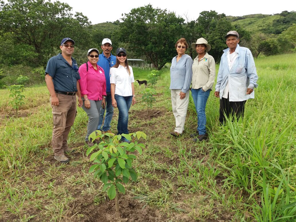 MiAmbientePma's tweet photo. Personal del Proyecto PROCUENCAS realizan visita de seguimiento a socios estratégicos de la cuenca de Río Grande en Coclé. https://t.co/05ATIbPBsw