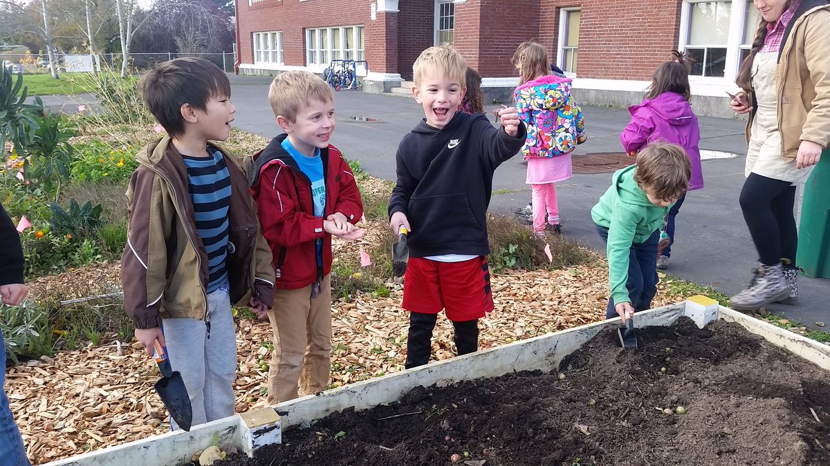 BeverlyClearyK8's tweet photo. Gardening to Classroom with first grade! https://t.co/05kIo95X1t