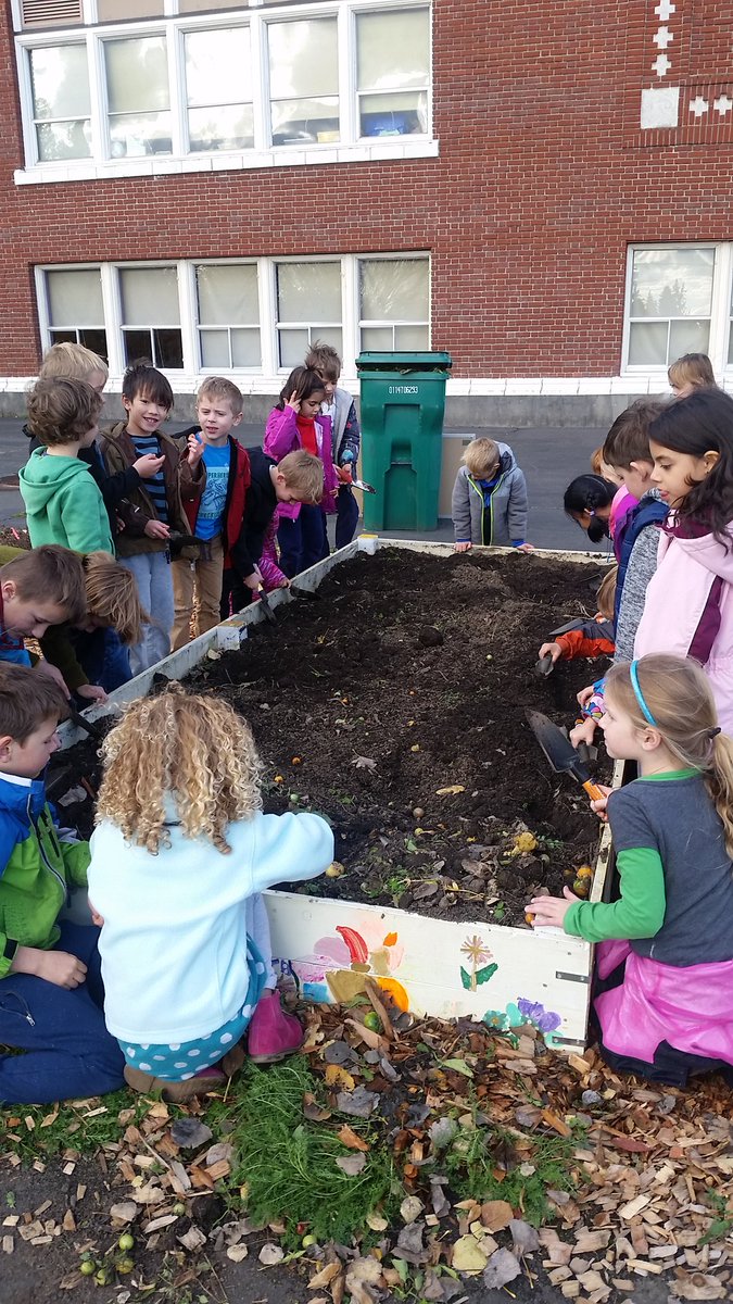 BeverlyClearyK8's tweet photo. Gardening to Classroom with first grade! https://t.co/05kIo95X1t