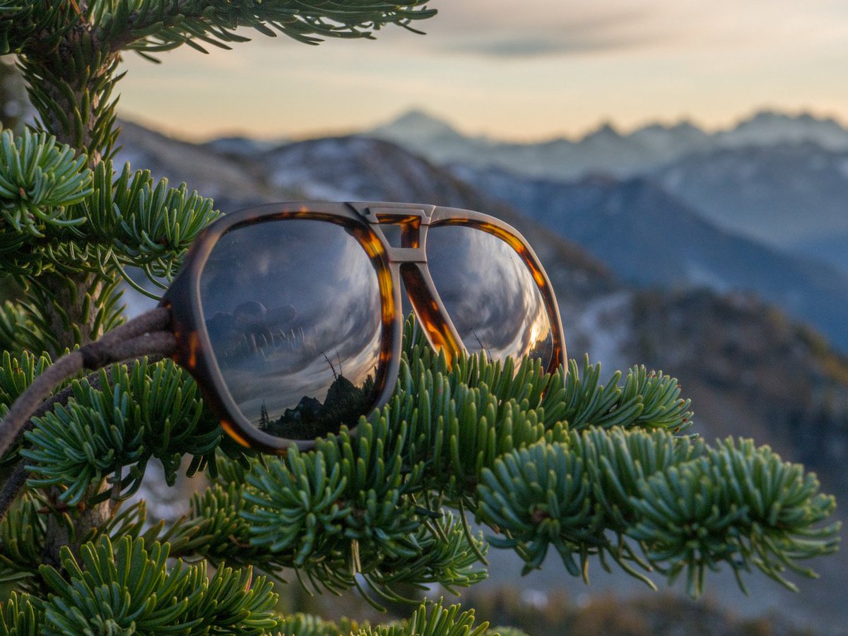 eden__plus's tweet photo. Introducing a new business partner: Ombraz Sunglasses! Ombraz will plant 20 trees with Eden for every pair of sunglasses they sell.
Ombraz will be launching on Kickstarter soon--follow @ombrazsunglasses to watch their incredible story unfold! https://t.co/nOwRgQzMiE