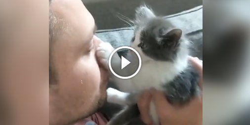 Juste un petit bisou 😍 ☛ bit.ly/2iV6JdX