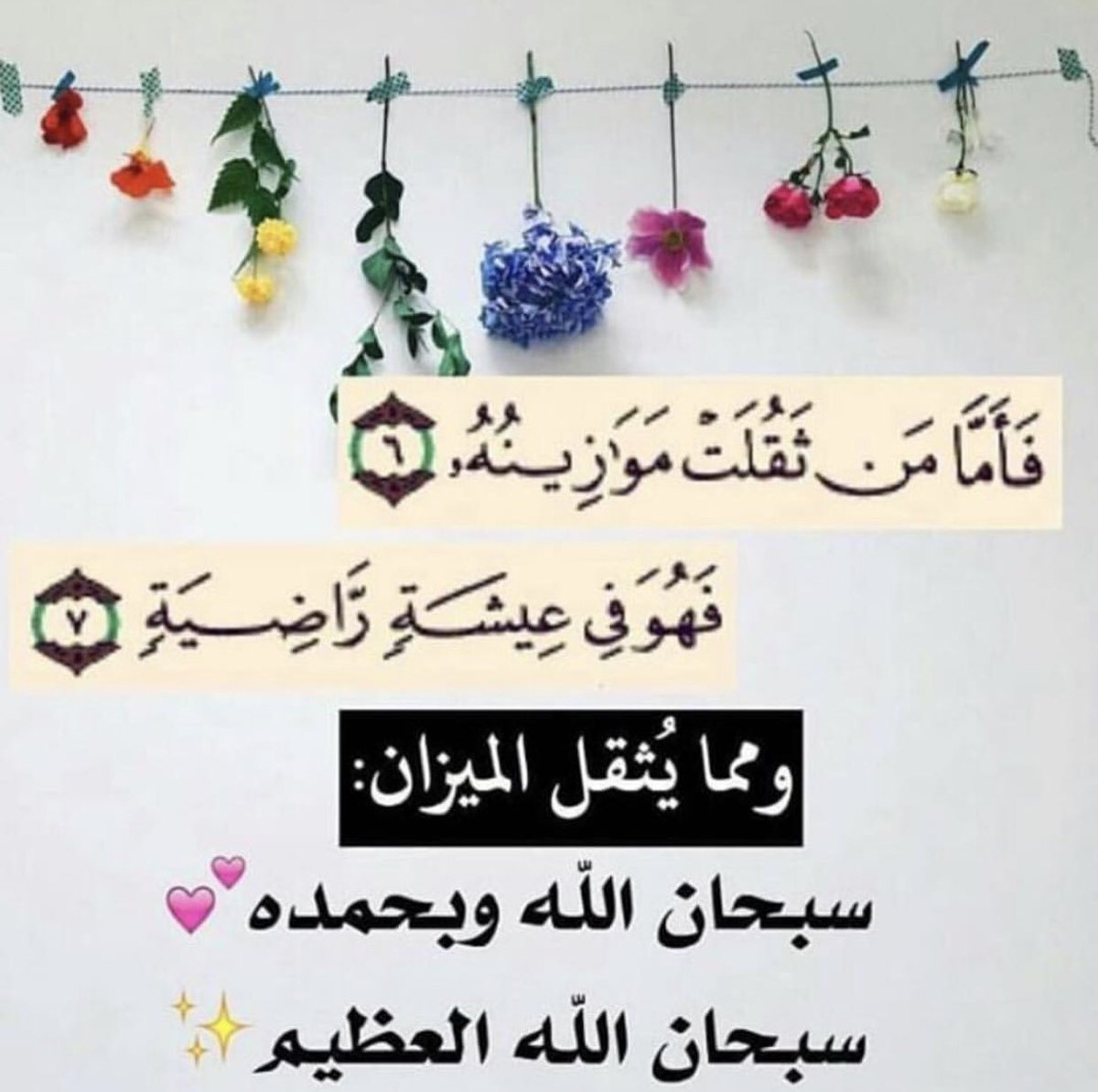 23Fyu's tweet photo. #زد_رصيدك43 https://t.co/gHWJTAi4HO