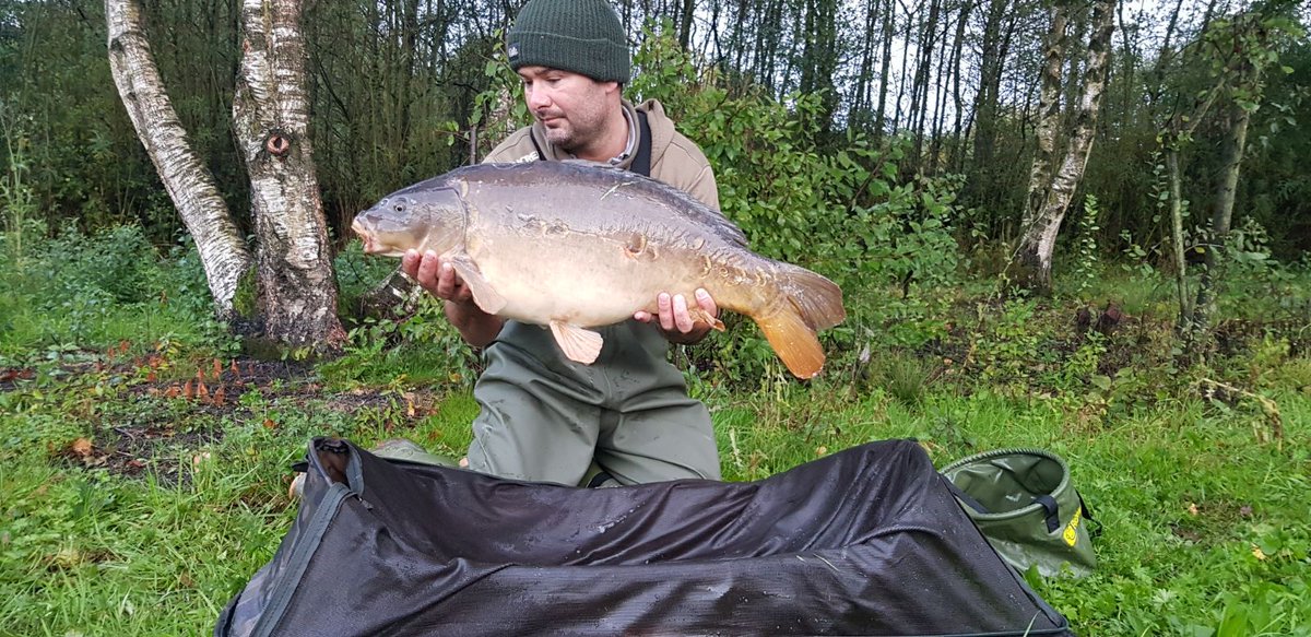 incrediblebaits's tweet photo. TM Stevo with some absolutely #stunning fish from his syndicate....not one average fish in the bunch....all fish fell to @incrediblebaits and #incredibleangling.....get in! https://t.co/4tIyXYz6cq