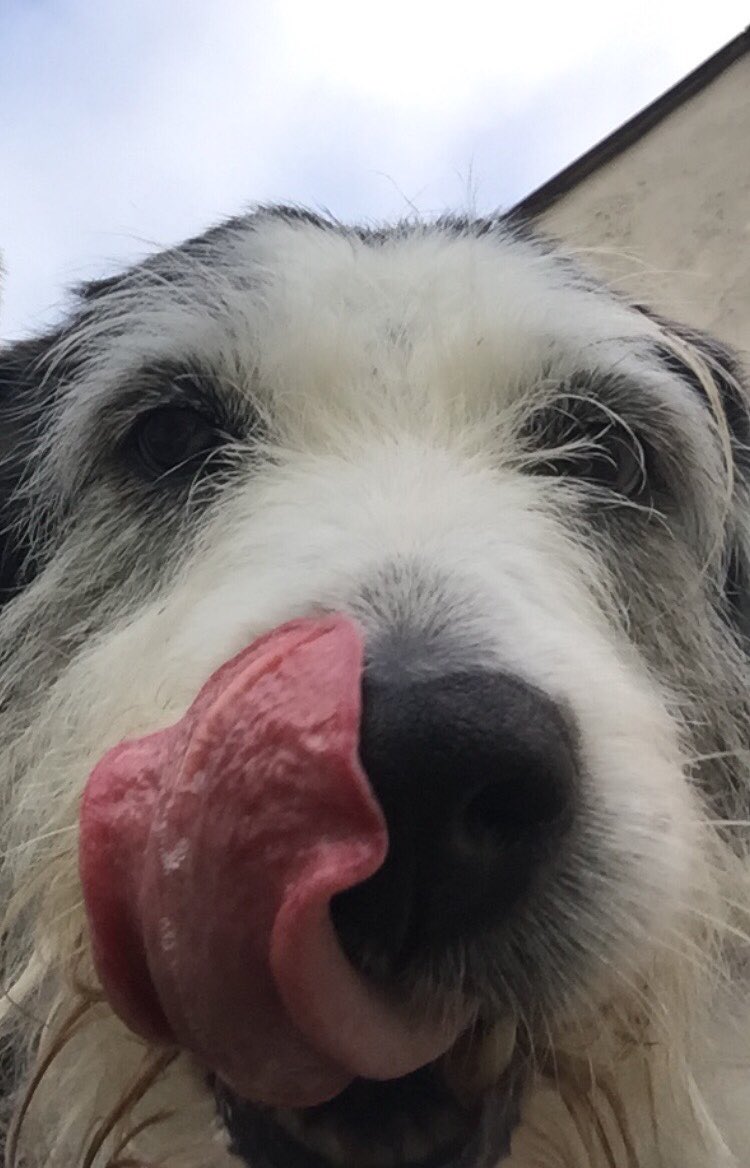 kn19htm's tweet image. #TongueOutTuesday