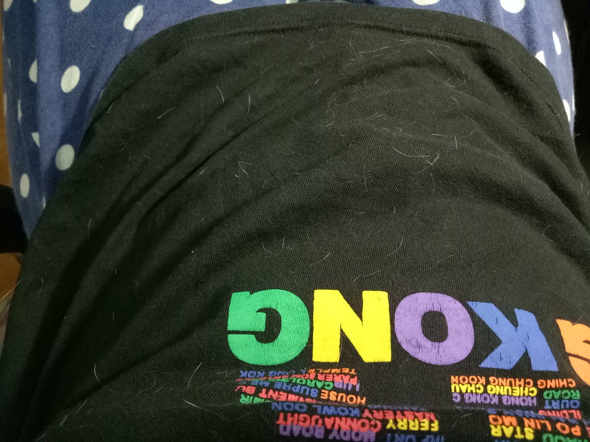 namchaeyoung's tweet image. What its like to have a cat??

Me: Waking up to this. 😑😂
#catissue