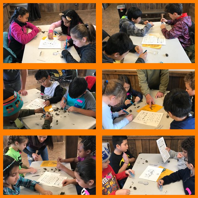 jgalabiDRES's tweet photo. Our class had an amazing time on our field trip to #BallentineFarm! Dissecting owl pellets was our favorite part. https://t.co/YPVWqfhTti
